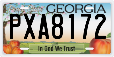 GA license plate PXA8172