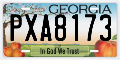 GA license plate PXA8173