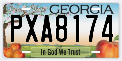 GA license plate PXA8174