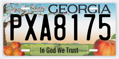 GA license plate PXA8175