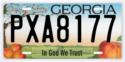 GA license plate PXA8177