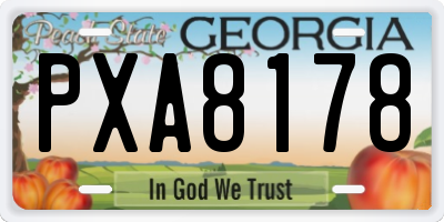 GA license plate PXA8178