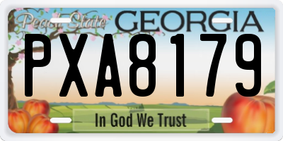 GA license plate PXA8179