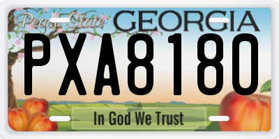 GA license plate PXA8180