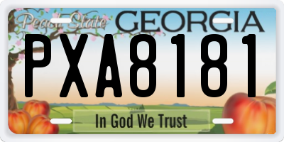 GA license plate PXA8181