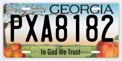 GA license plate PXA8182