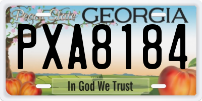 GA license plate PXA8184