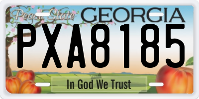 GA license plate PXA8185