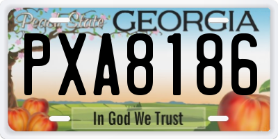 GA license plate PXA8186