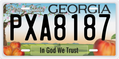 GA license plate PXA8187
