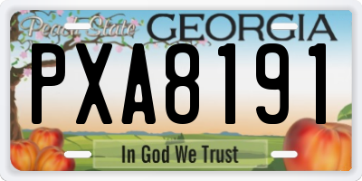 GA license plate PXA8191