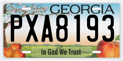 GA license plate PXA8193
