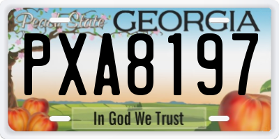 GA license plate PXA8197
