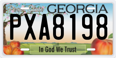 GA license plate PXA8198