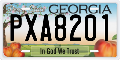 GA license plate PXA8201