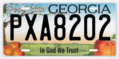 GA license plate PXA8202