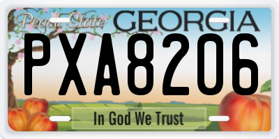GA license plate PXA8206