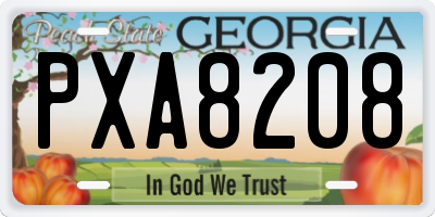 GA license plate PXA8208