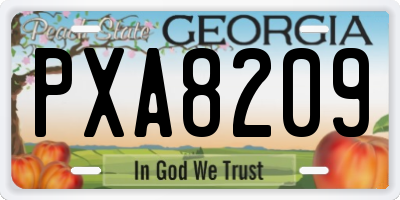 GA license plate PXA8209