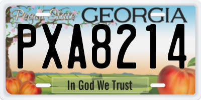 GA license plate PXA8214