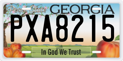 GA license plate PXA8215