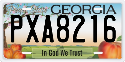 GA license plate PXA8216