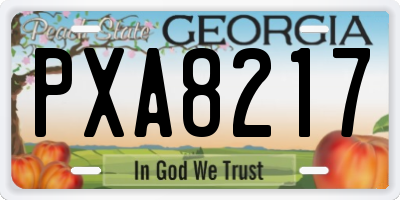 GA license plate PXA8217