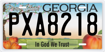 GA license plate PXA8218