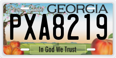 GA license plate PXA8219