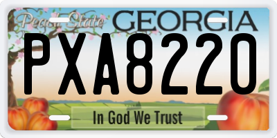 GA license plate PXA8220