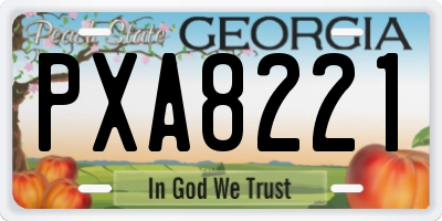 GA license plate PXA8221