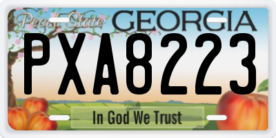 GA license plate PXA8223