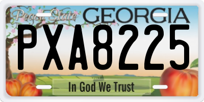 GA license plate PXA8225