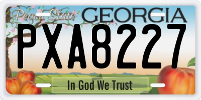 GA license plate PXA8227
