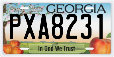 GA license plate PXA8231