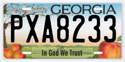 GA license plate PXA8233