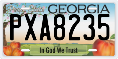 GA license plate PXA8235