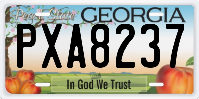 GA license plate PXA8237