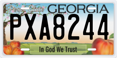 GA license plate PXA8244