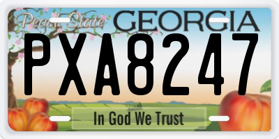 GA license plate PXA8247