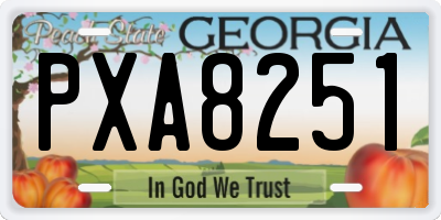GA license plate PXA8251