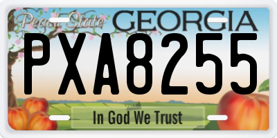 GA license plate PXA8255