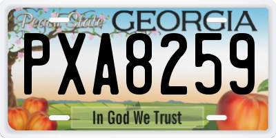 GA license plate PXA8259