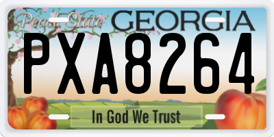 GA license plate PXA8264