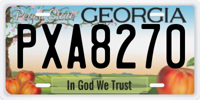 GA license plate PXA8270