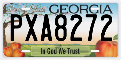 GA license plate PXA8272