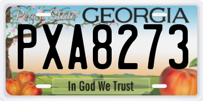 GA license plate PXA8273
