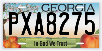 GA license plate PXA8275