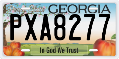 GA license plate PXA8277