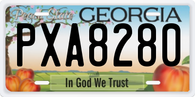 GA license plate PXA8280